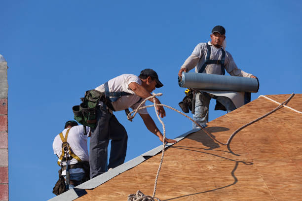 Best Storm Damage Roof Repair  in Sandwich, IL