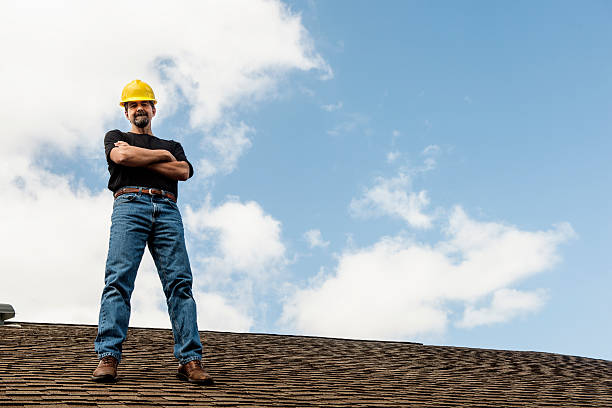 Best Roof Gutter Cleaning  in Sandwich, IL