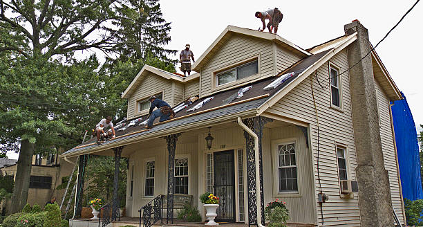Roof Gutter Cleaning in Sandwich, IL