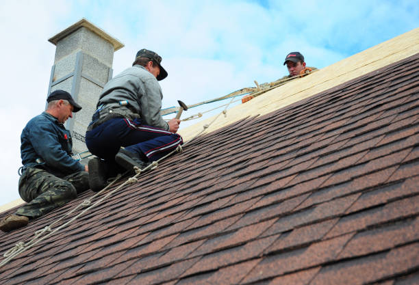 Best Storm Damage Roof Repair  in Sandwich, IL